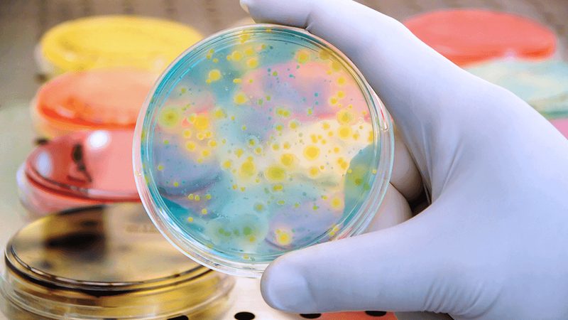 小分子CDMO：揭秘研发背后的关键伙伴**