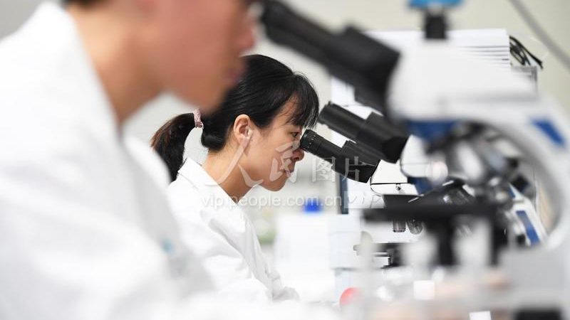 基因检测定制化服务：参数标准揭秘