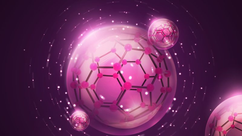 细胞工厂与发酵：安全性比较解析