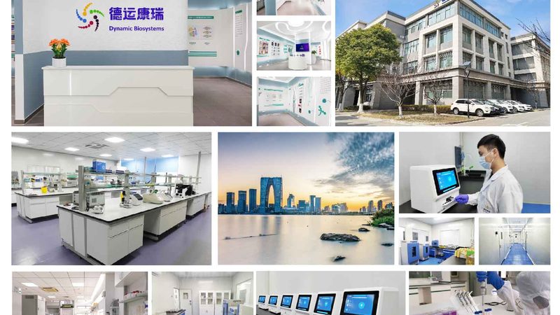 CDMO服务流程外包：揭秘制药企业的秘密武器
