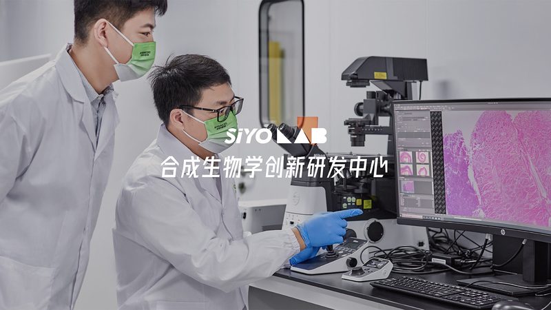 PCR检测全流程拆解：从样本到结果的标准化操作