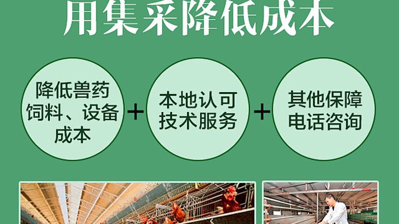 小分子CDMO价格背后的考量因素**