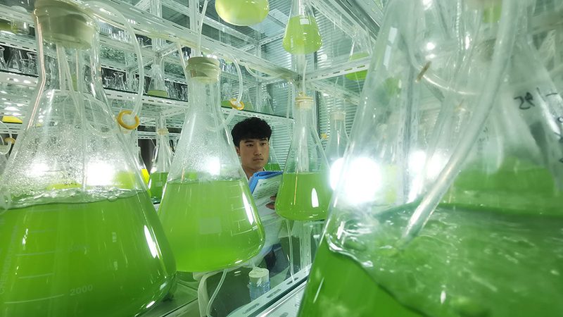 深圳生物科技公司注册全流程详解